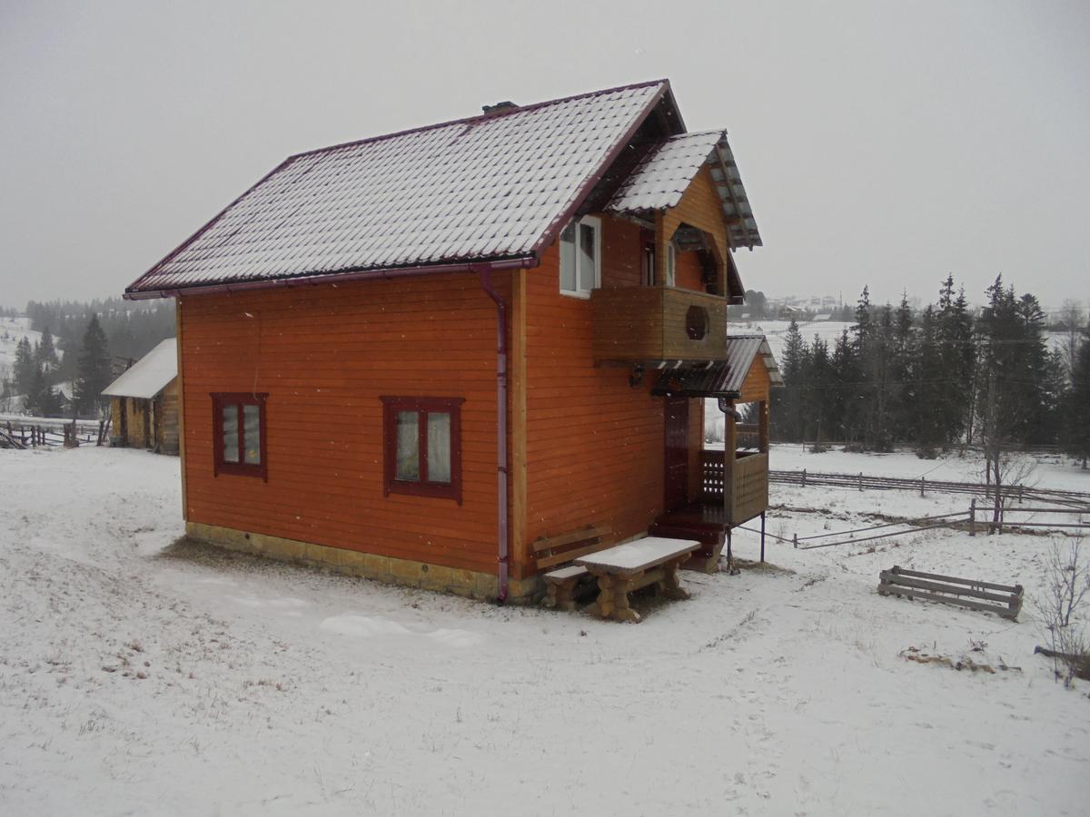 Lisovychok Villa Vorokhta Exterior photo